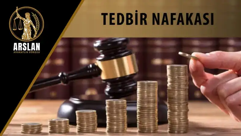 Tedbir nafakası